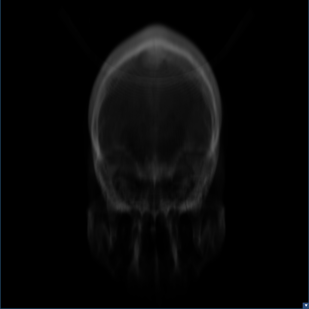A skull rendered using our direct volume renderer